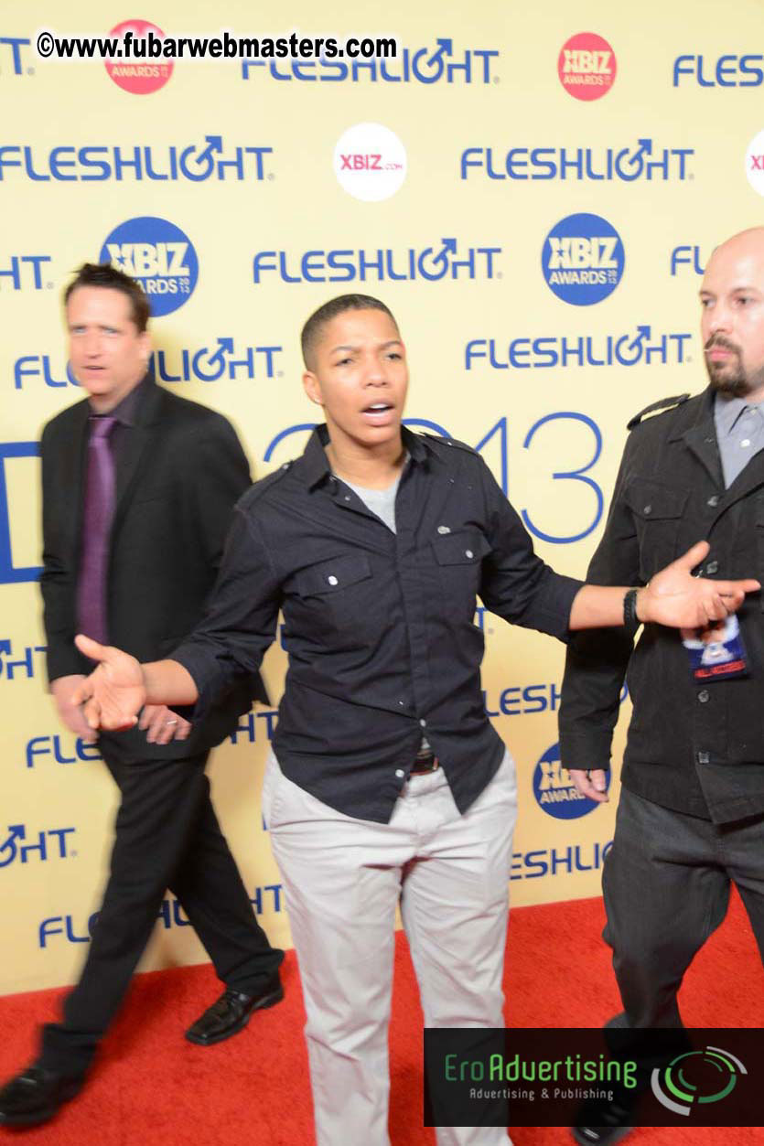 XBIZ Awards 2013