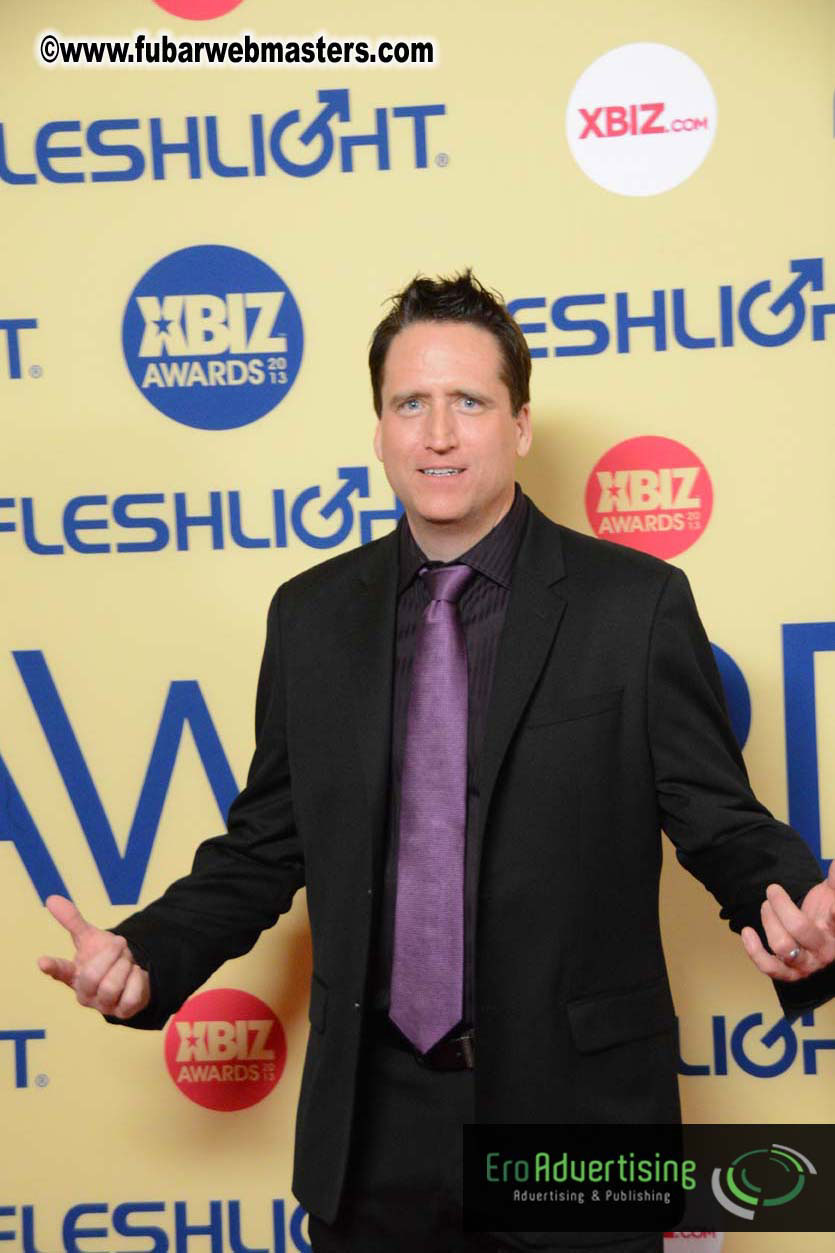 XBIZ Awards 2013