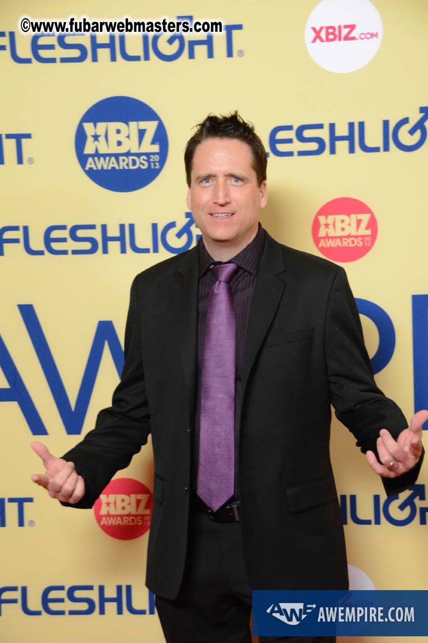 XBIZ Awards 2013