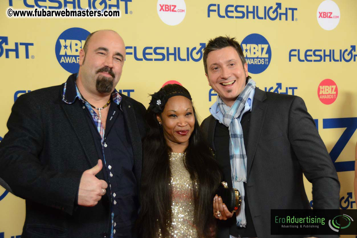 XBIZ Awards 2013