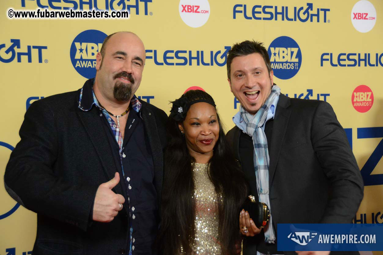 XBIZ Awards 2013