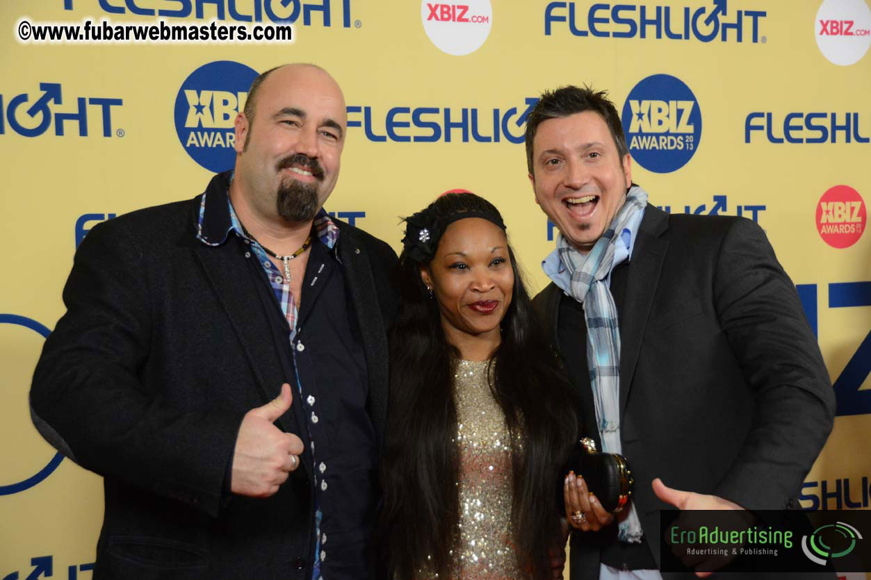 XBIZ Awards 2013