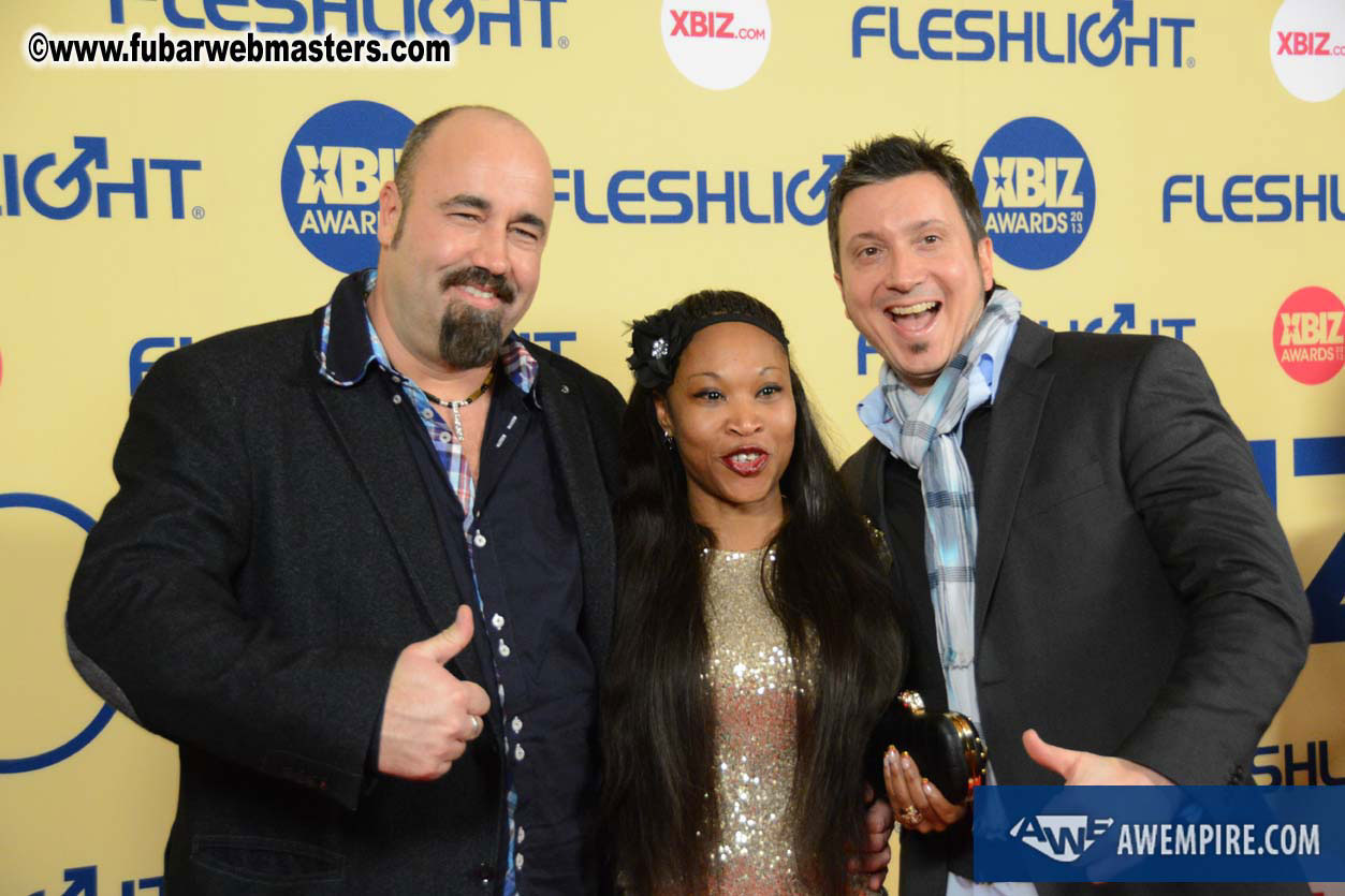 XBIZ Awards 2013