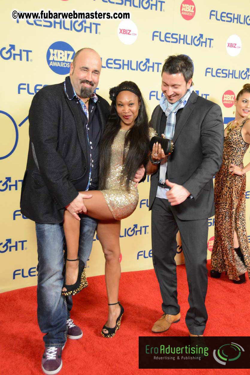 XBIZ Awards 2013