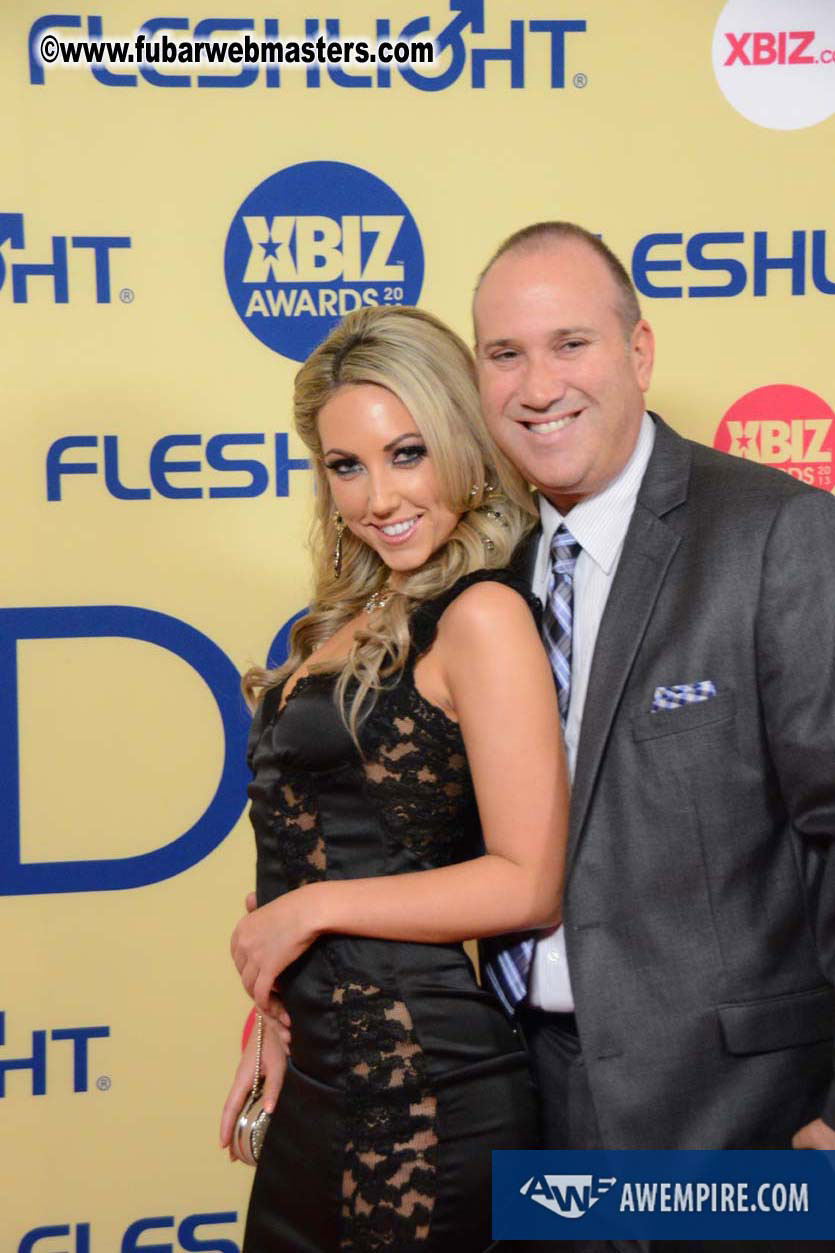 XBIZ Awards 2013