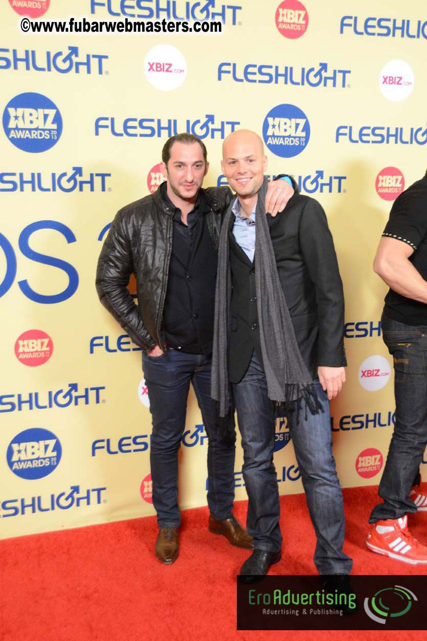 XBIZ Awards 2013