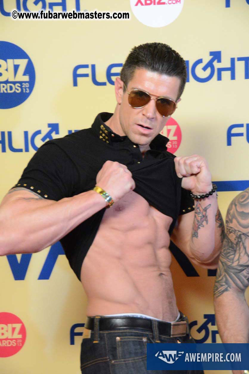 XBIZ Awards 2013