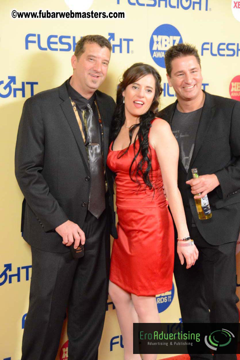 XBIZ Awards 2013