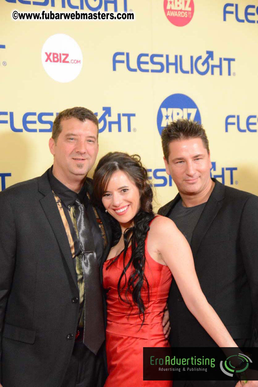 XBIZ Awards 2013