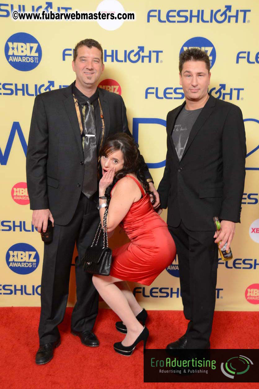 XBIZ Awards 2013