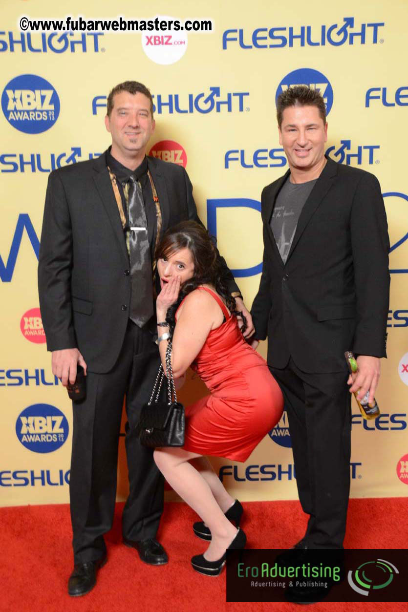 XBIZ Awards 2013