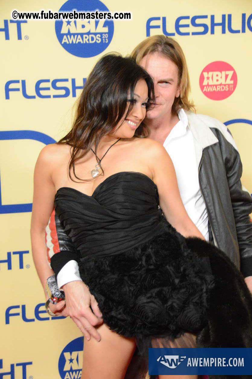 XBIZ Awards 2013