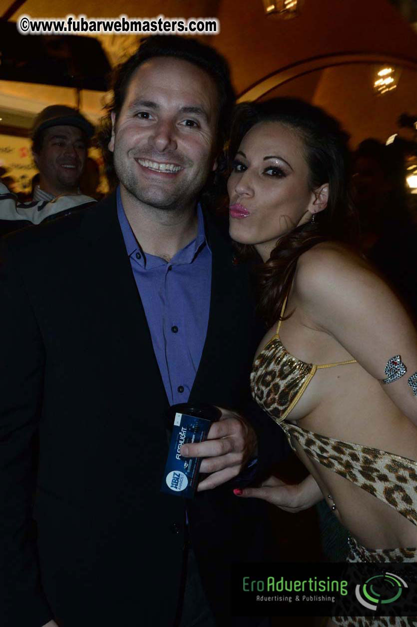 XBIZ Awards 2013