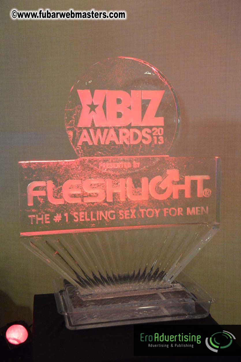 XBIZ Awards 2013