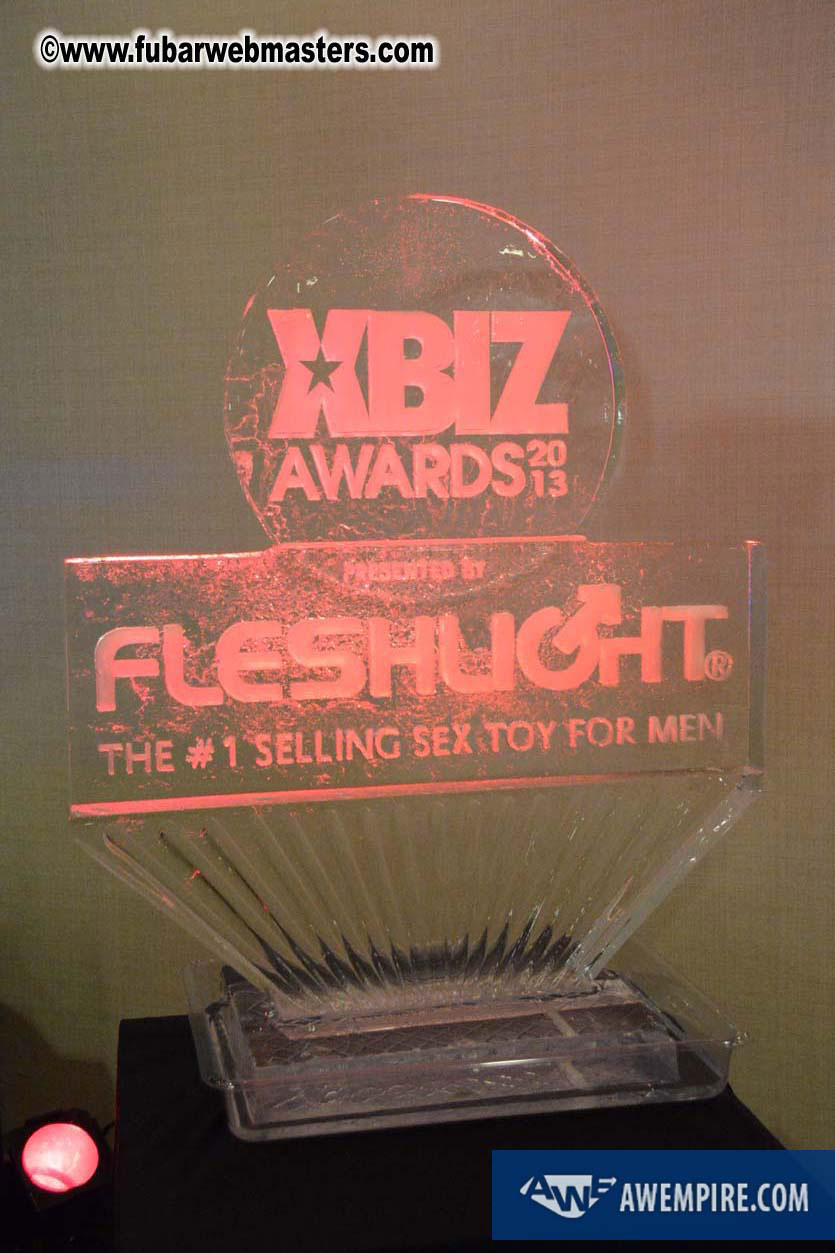 XBIZ Awards 2013