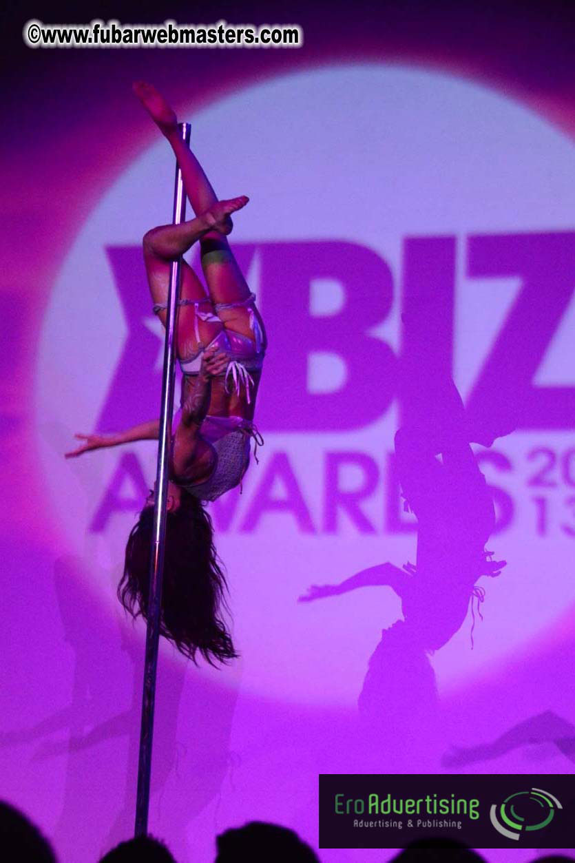 XBIZ Awards 2013