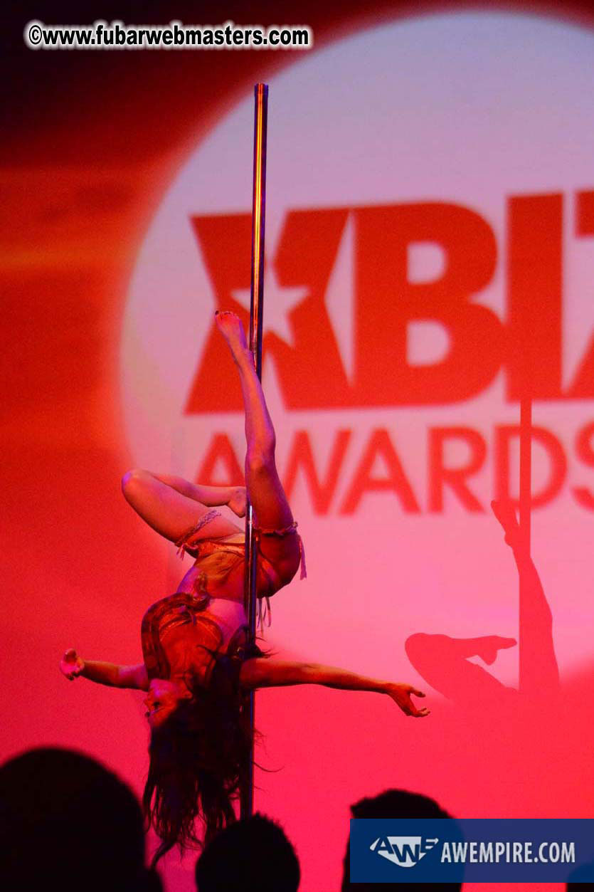 XBIZ Awards 2013