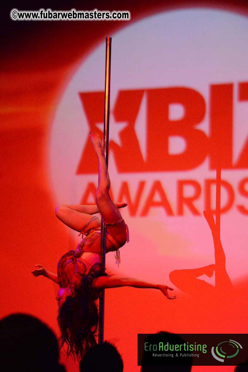 XBIZ Awards 2013