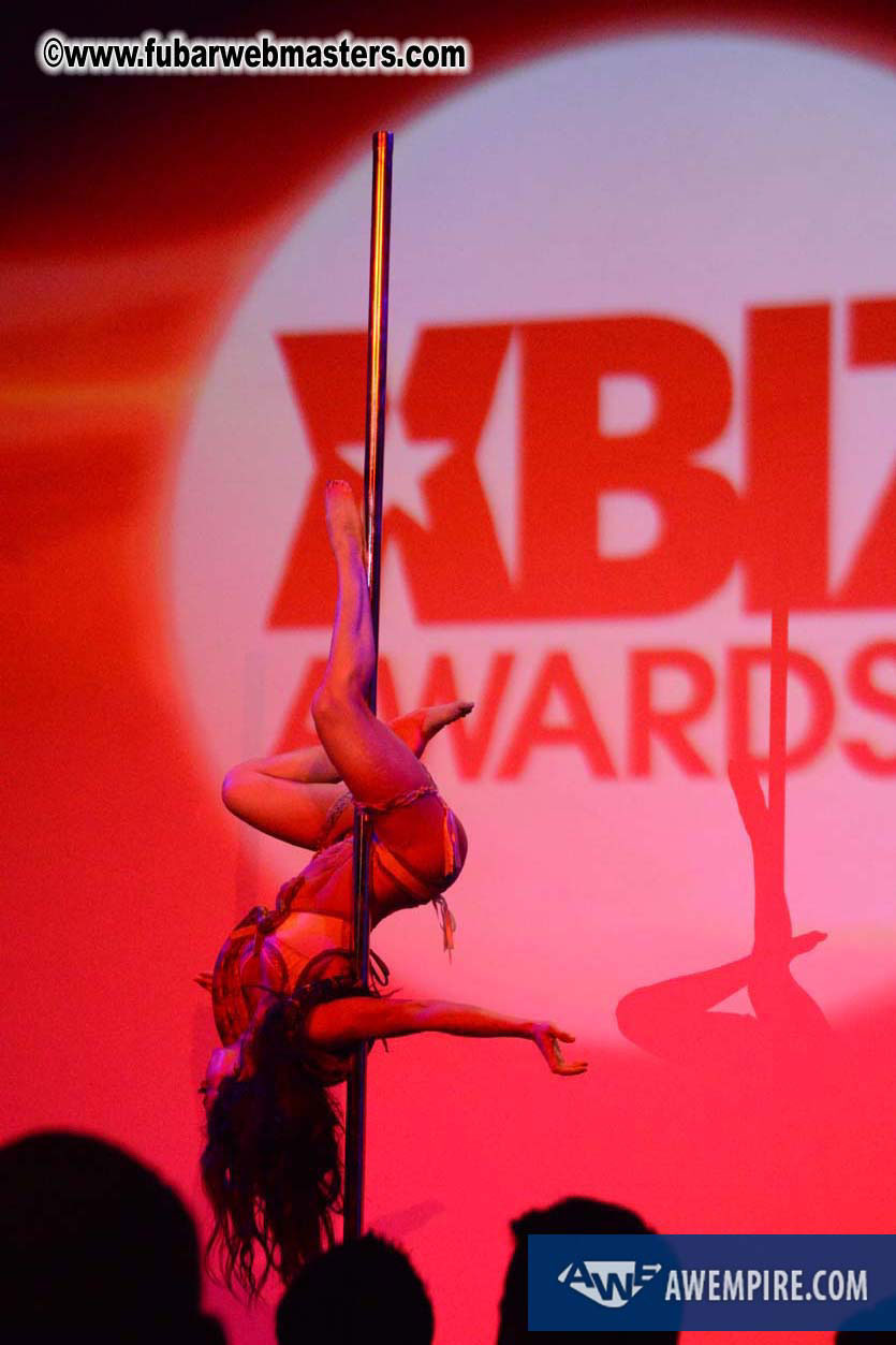 XBIZ Awards 2013