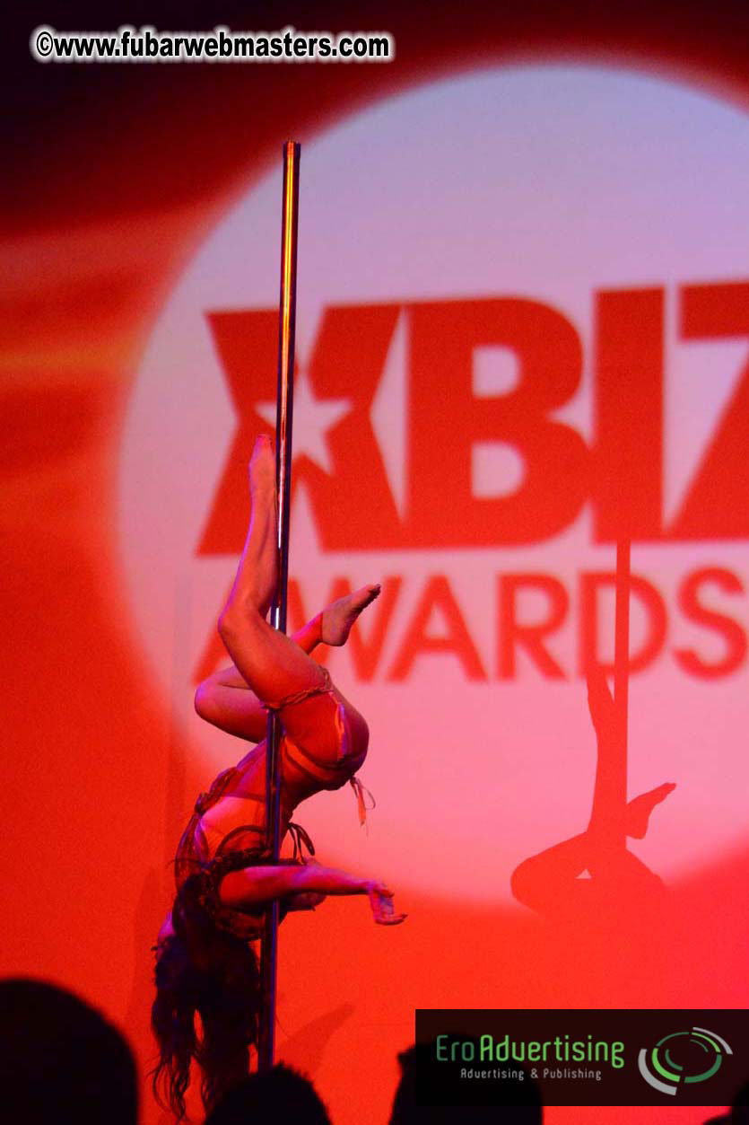 XBIZ Awards 2013