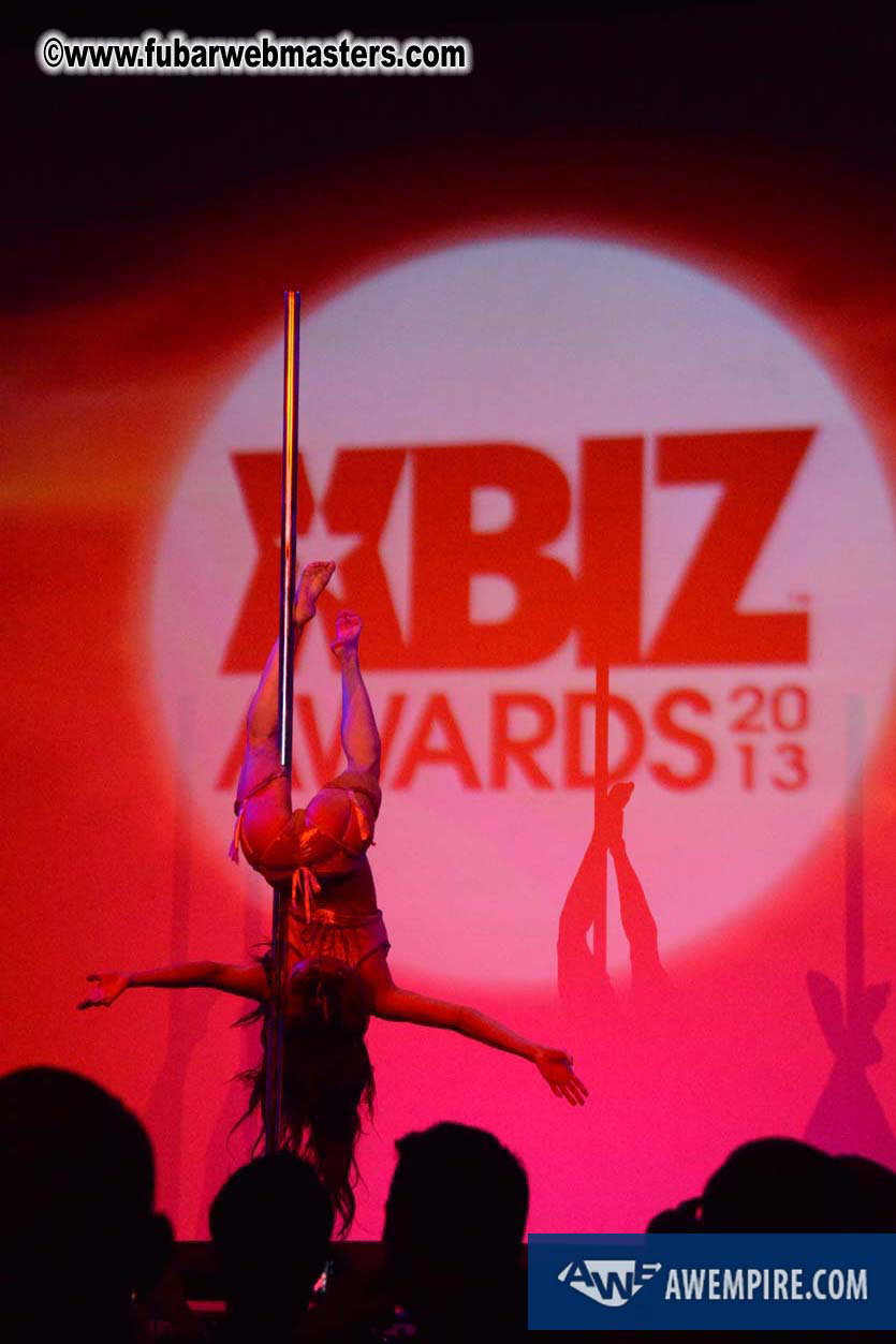 XBIZ Awards 2013