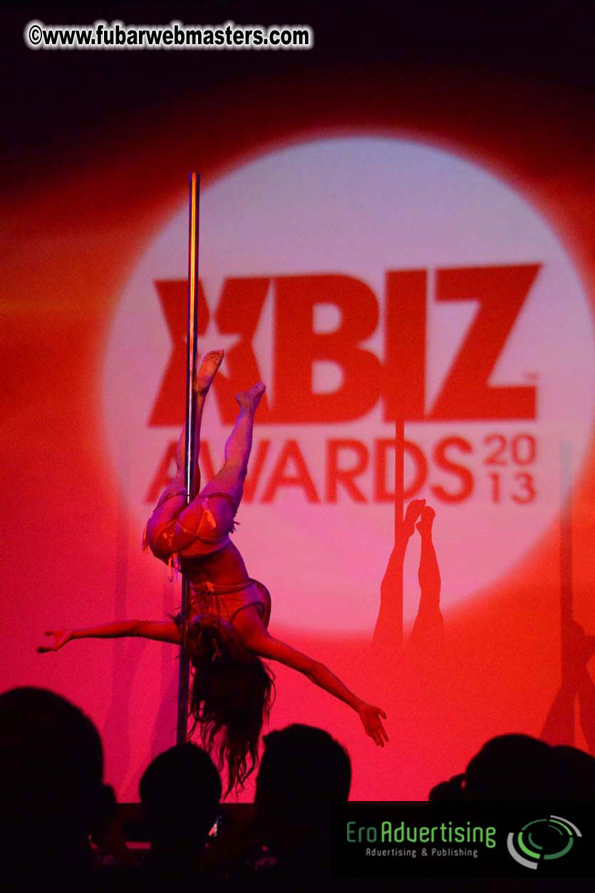 XBIZ Awards 2013