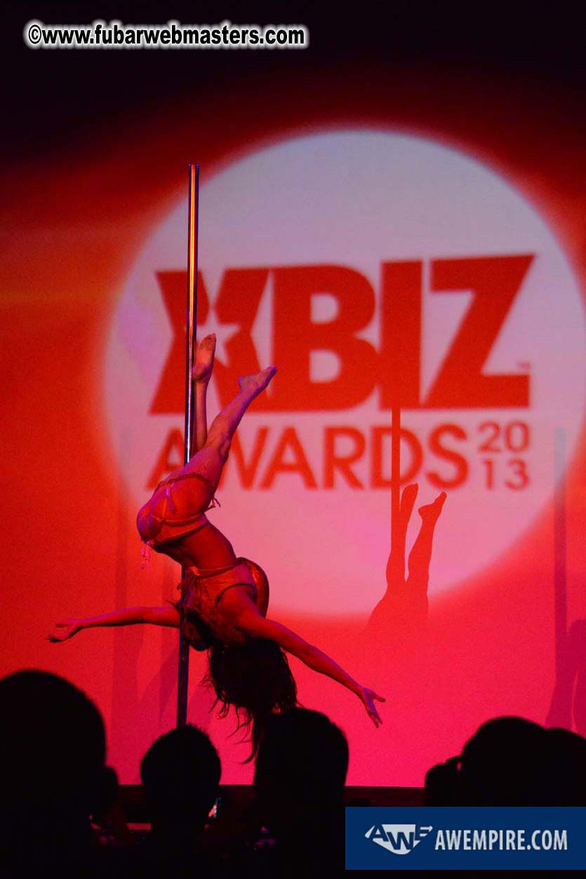 XBIZ Awards 2013