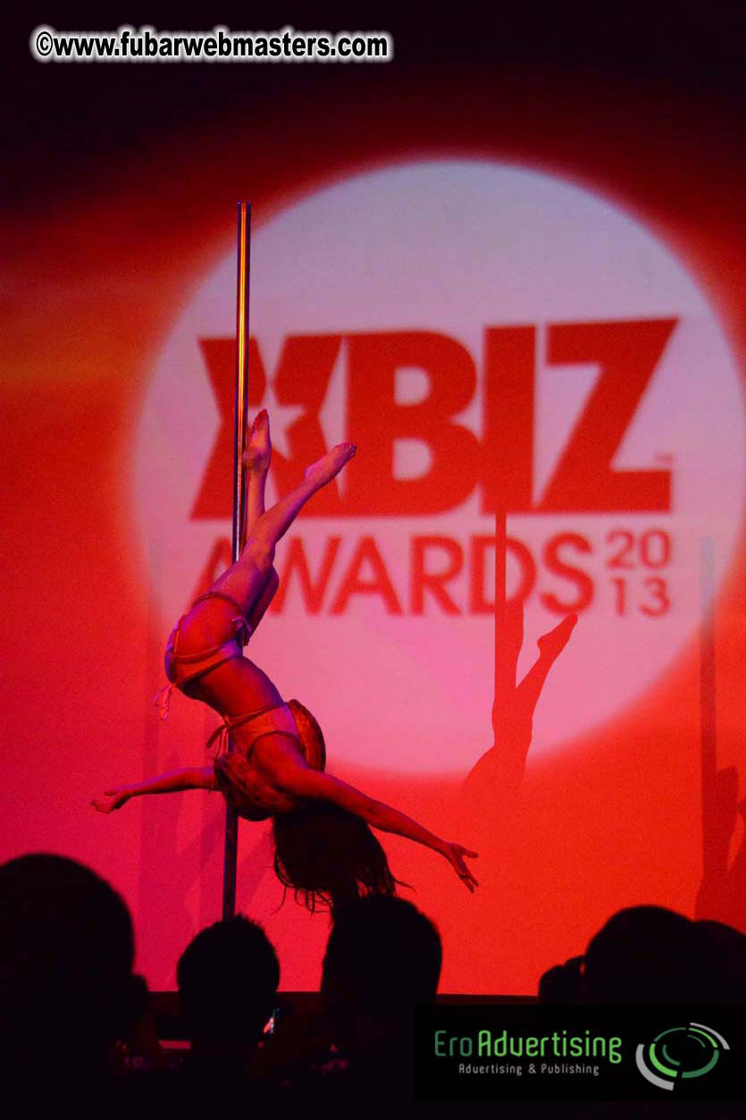 XBIZ Awards 2013