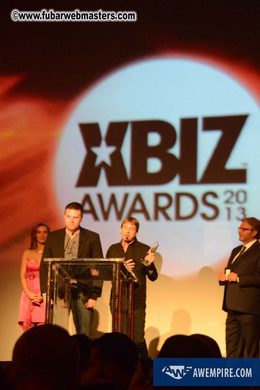 XBIZ Awards 2013