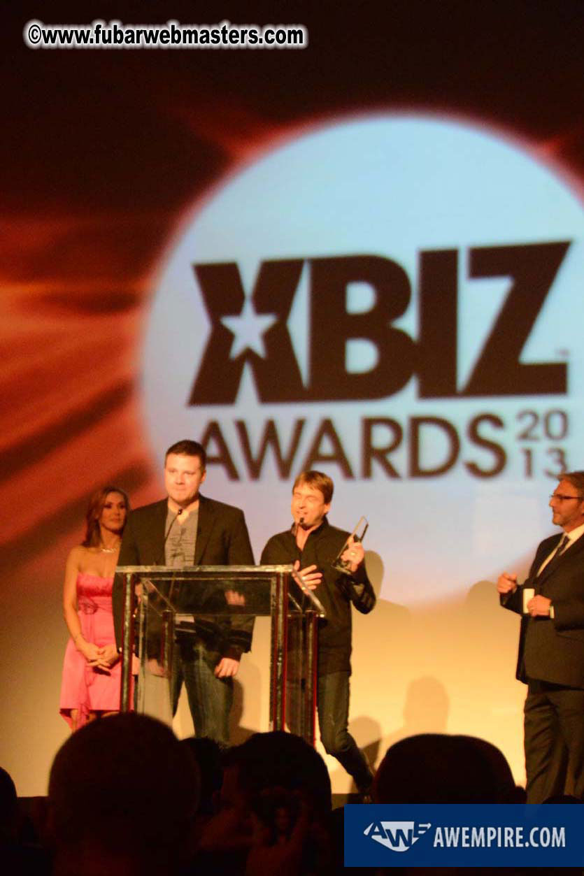 XBIZ Awards 2013