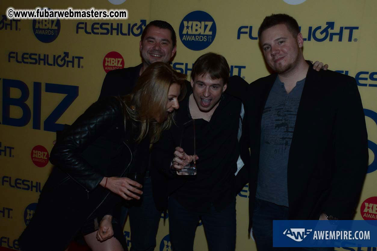 XBIZ Awards 2013