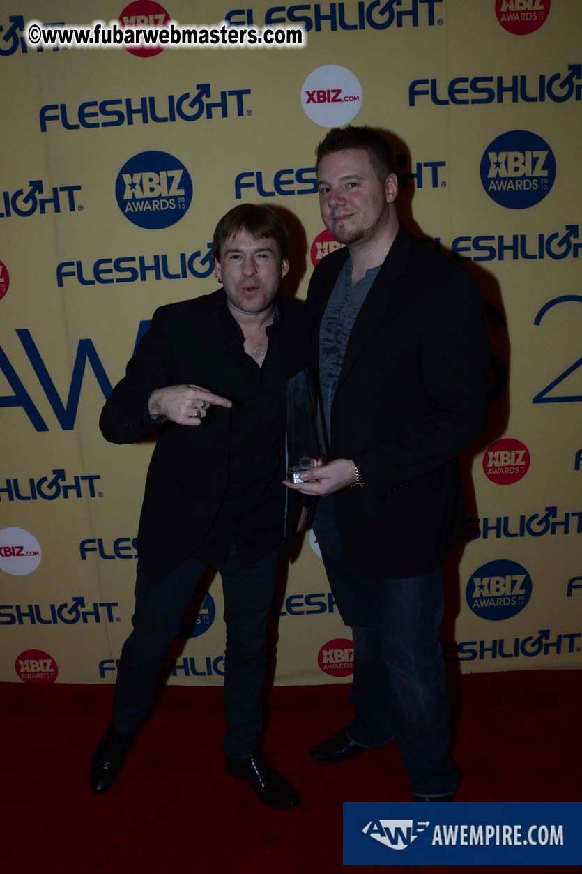 XBIZ Awards 2013