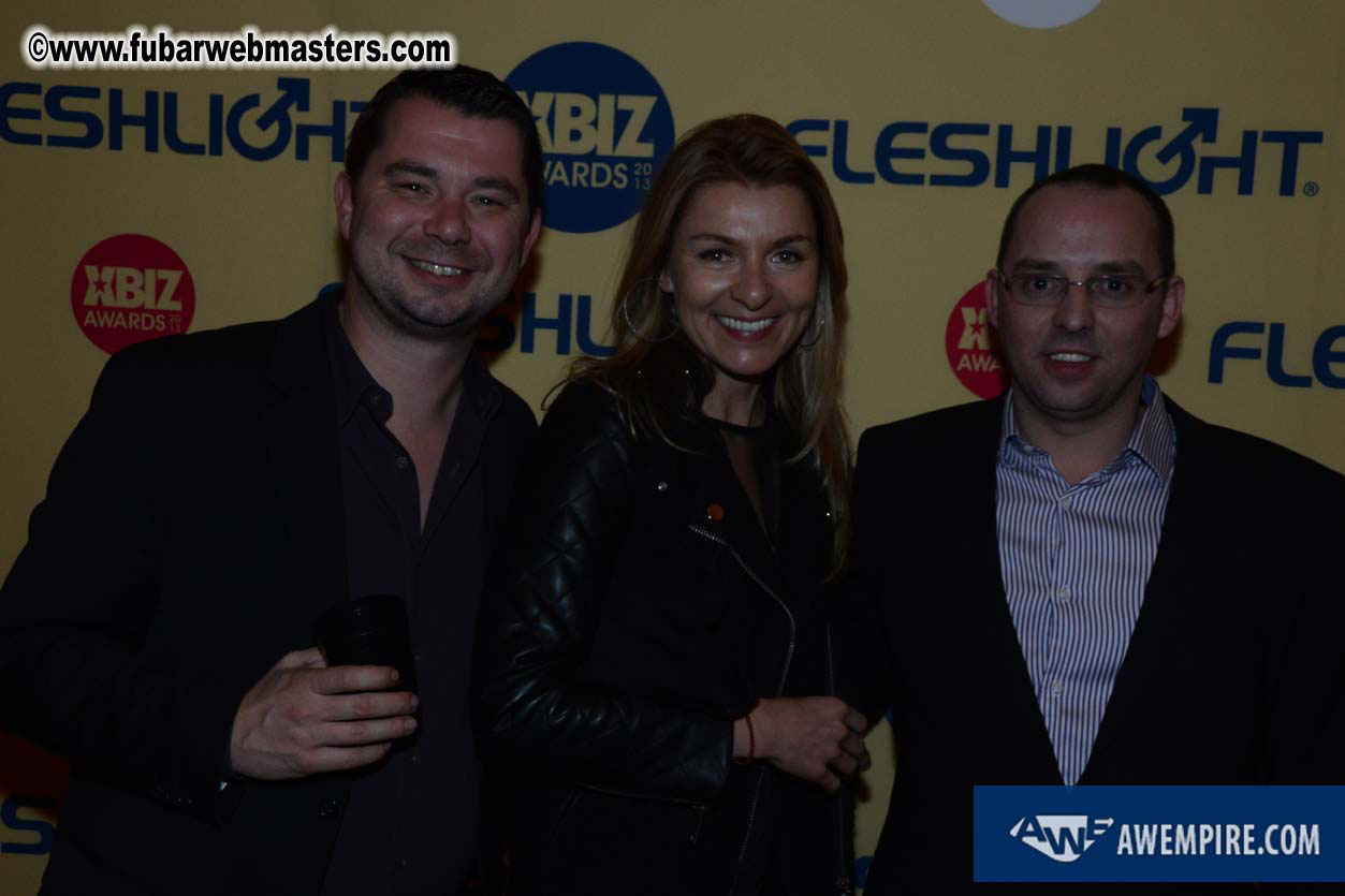 XBIZ Awards 2013