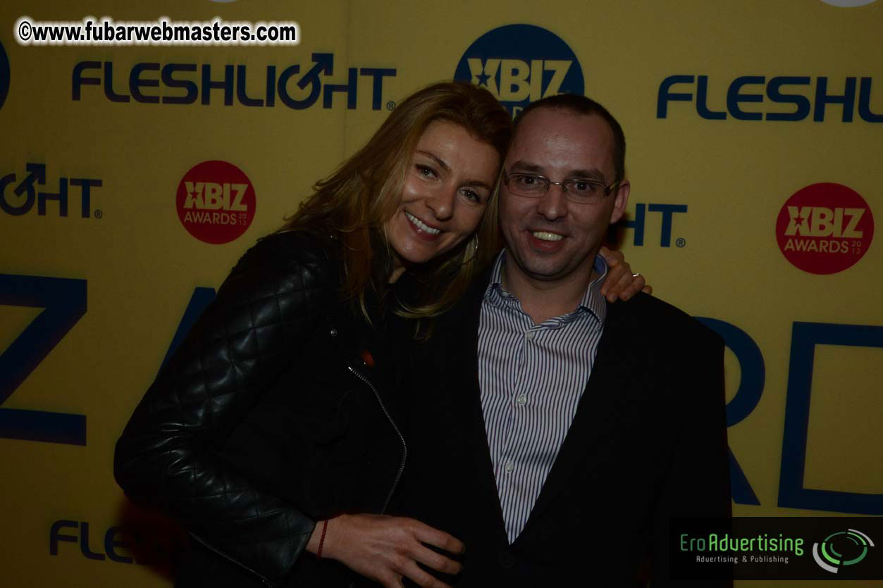 XBIZ Awards 2013