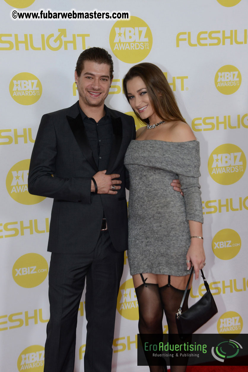 2014 XBIZ Awards