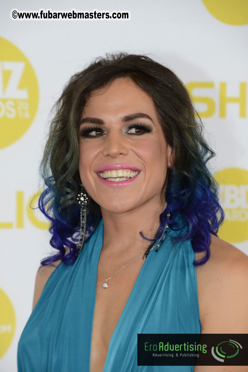 2014 XBIZ Awards