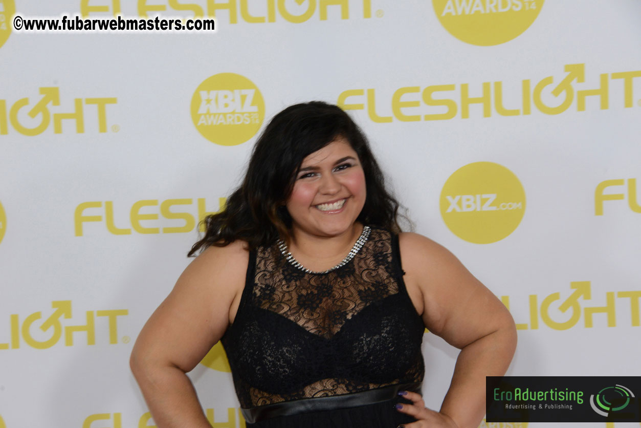 2014 XBIZ Awards