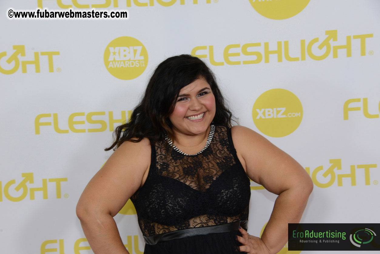 2014 XBIZ Awards