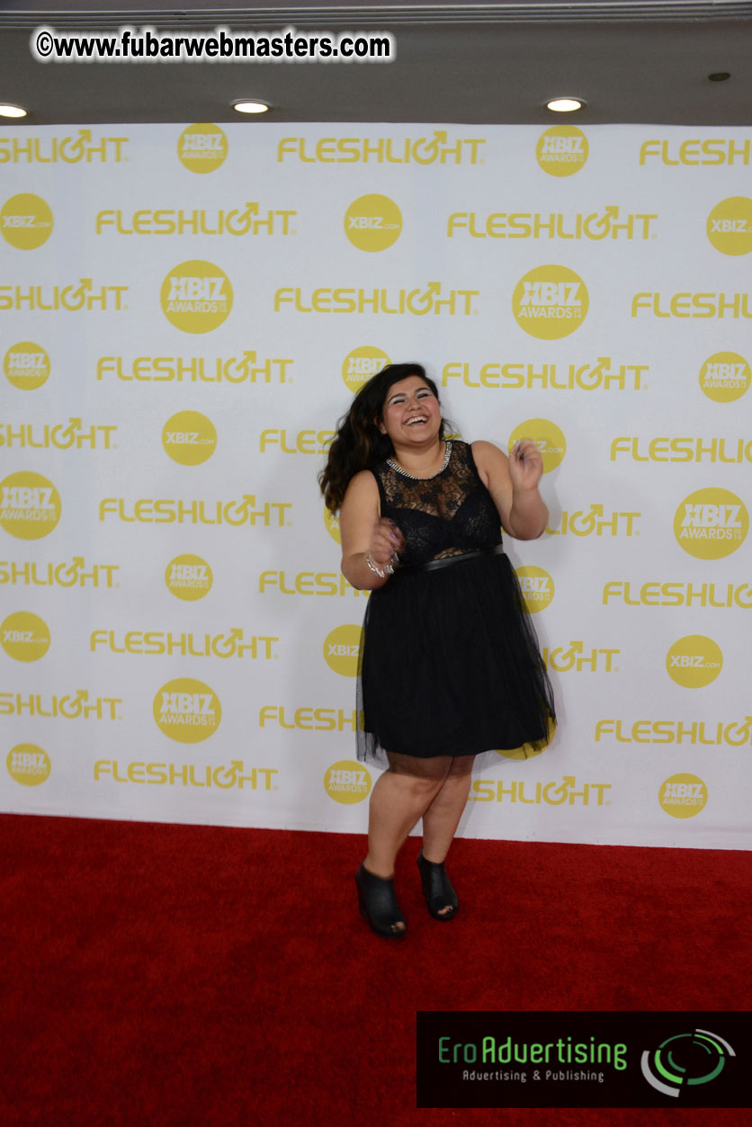 2014 XBIZ Awards