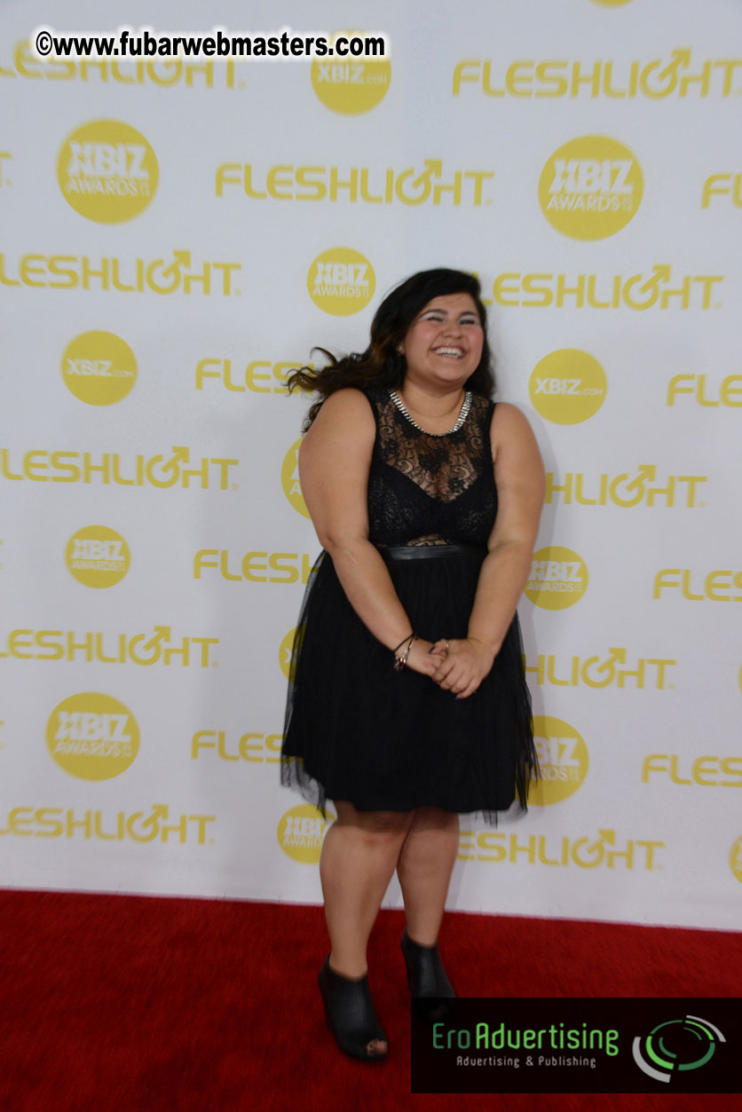 2014 XBIZ Awards