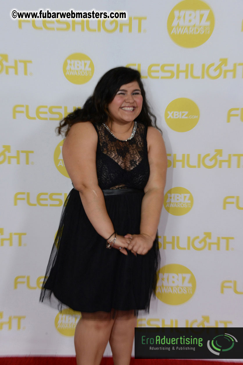 2014 XBIZ Awards