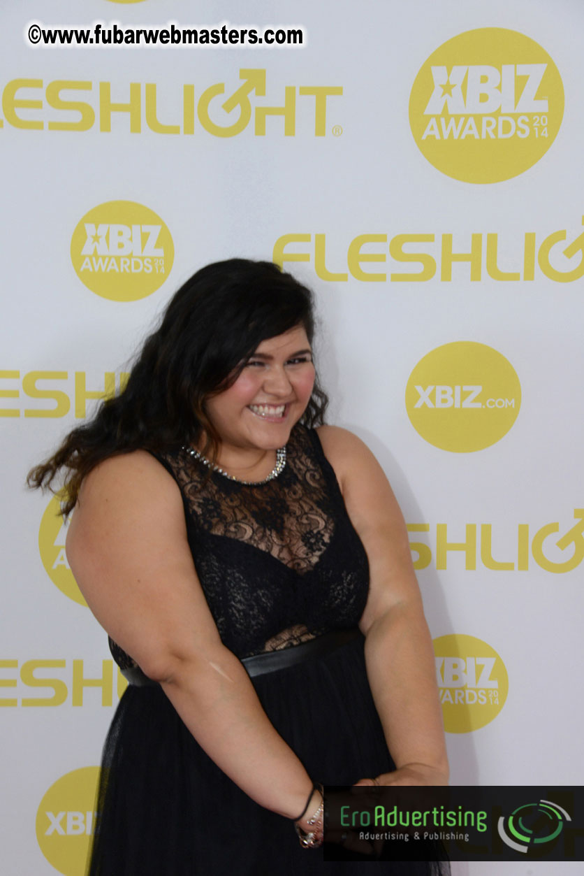 2014 XBIZ Awards