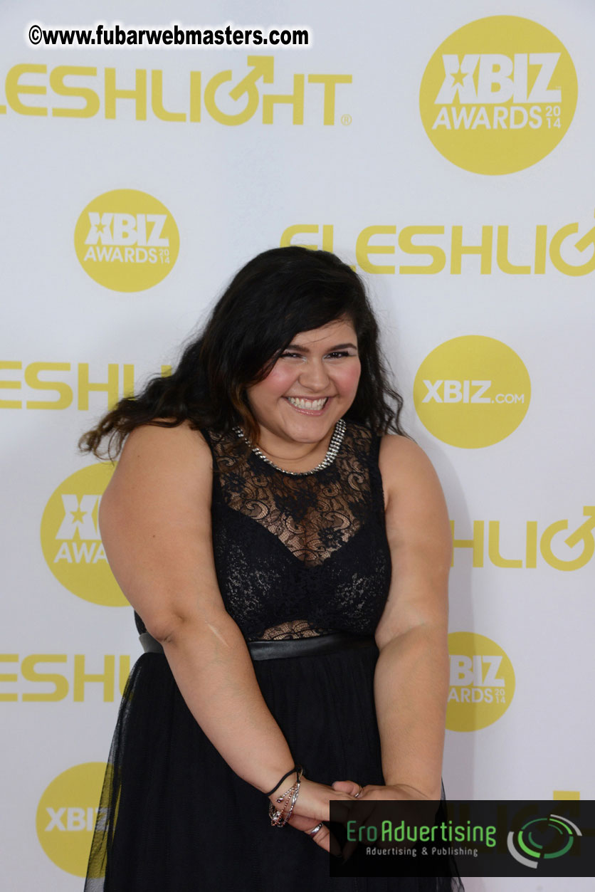 2014 XBIZ Awards