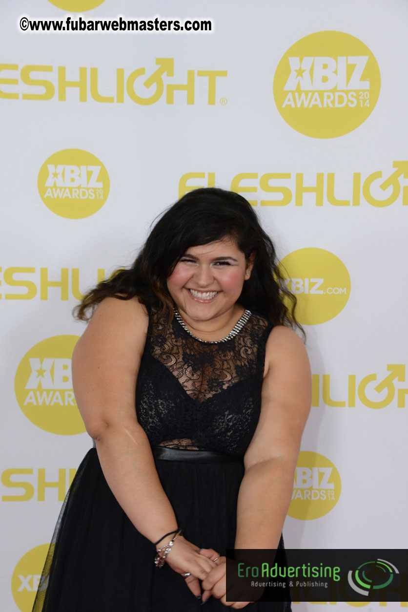 2014 XBIZ Awards