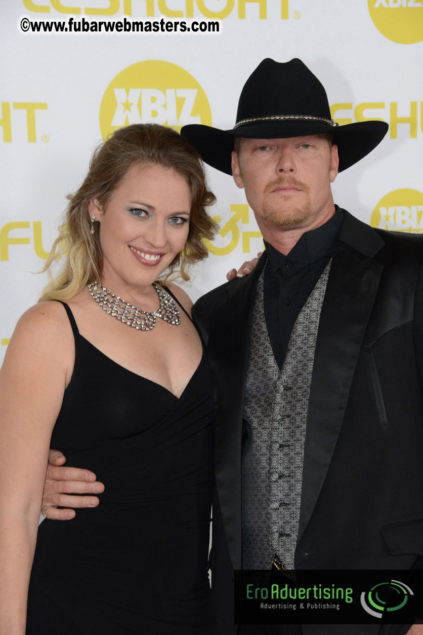 2014 XBIZ Awards