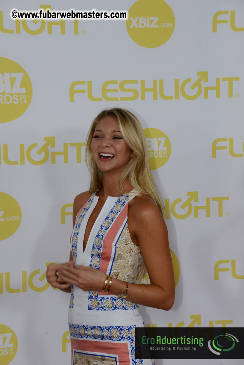 2014 XBIZ Awards