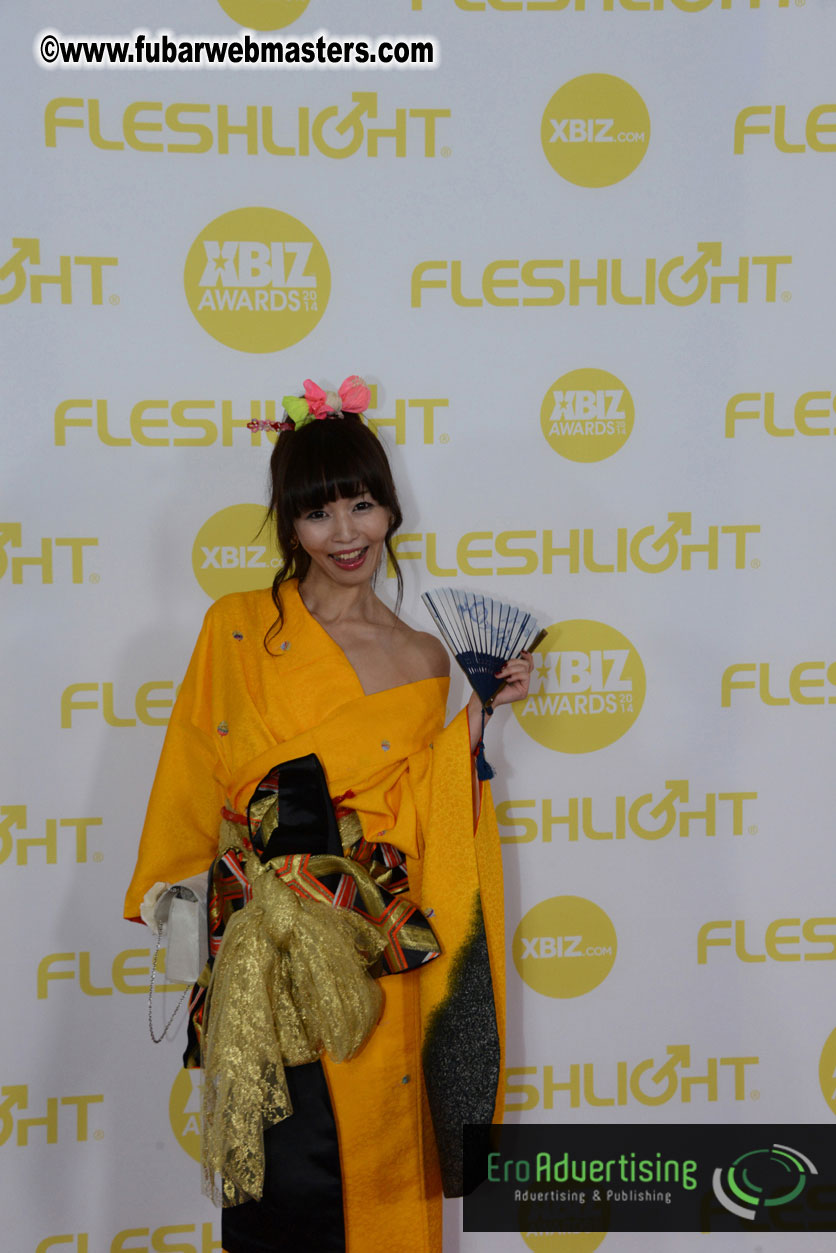 2014 XBIZ Awards