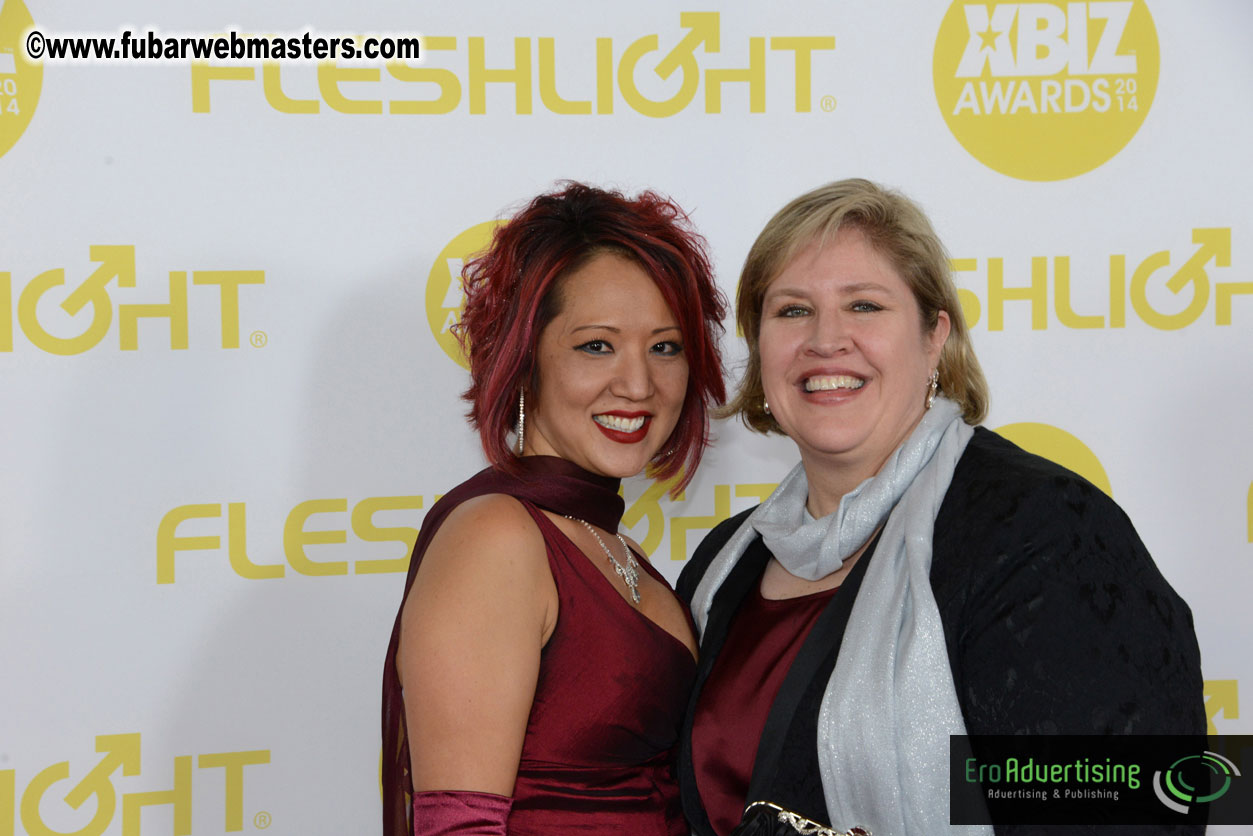 2014 XBIZ Awards