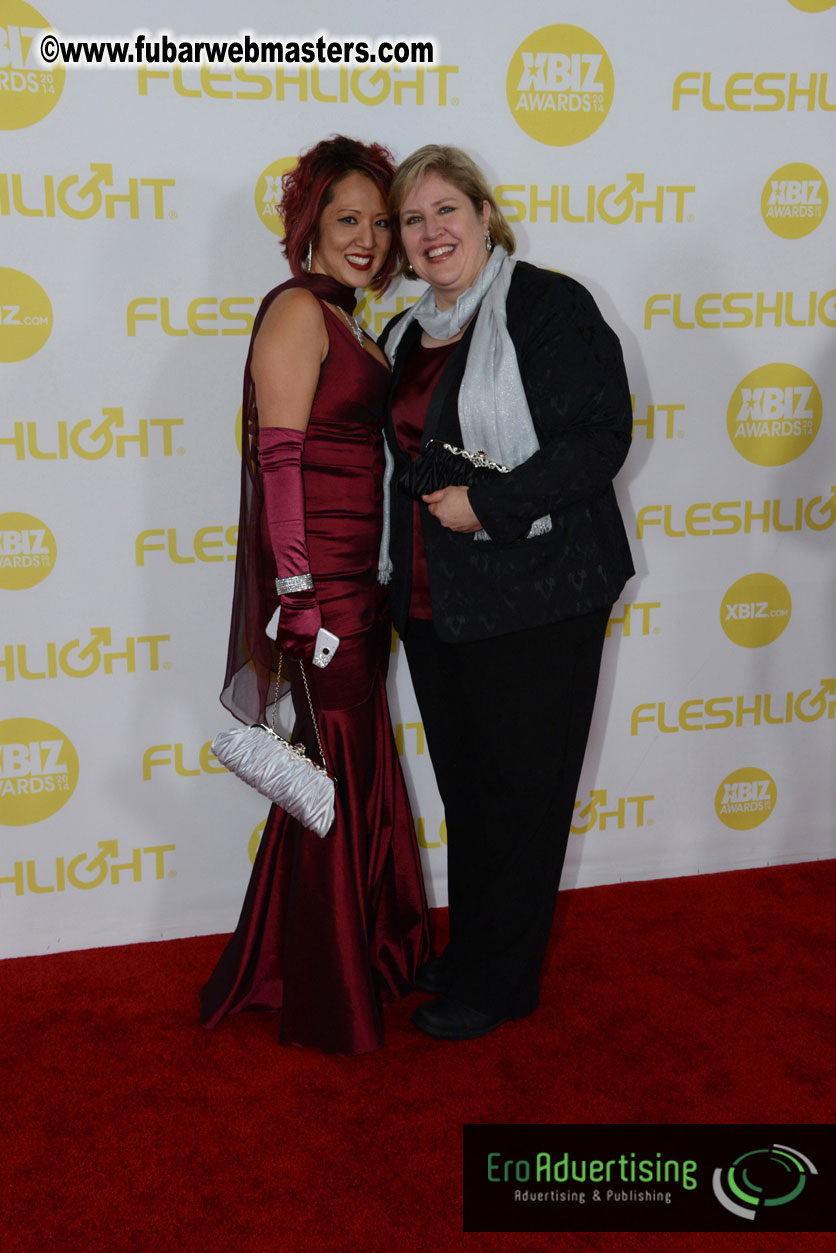 2014 XBIZ Awards