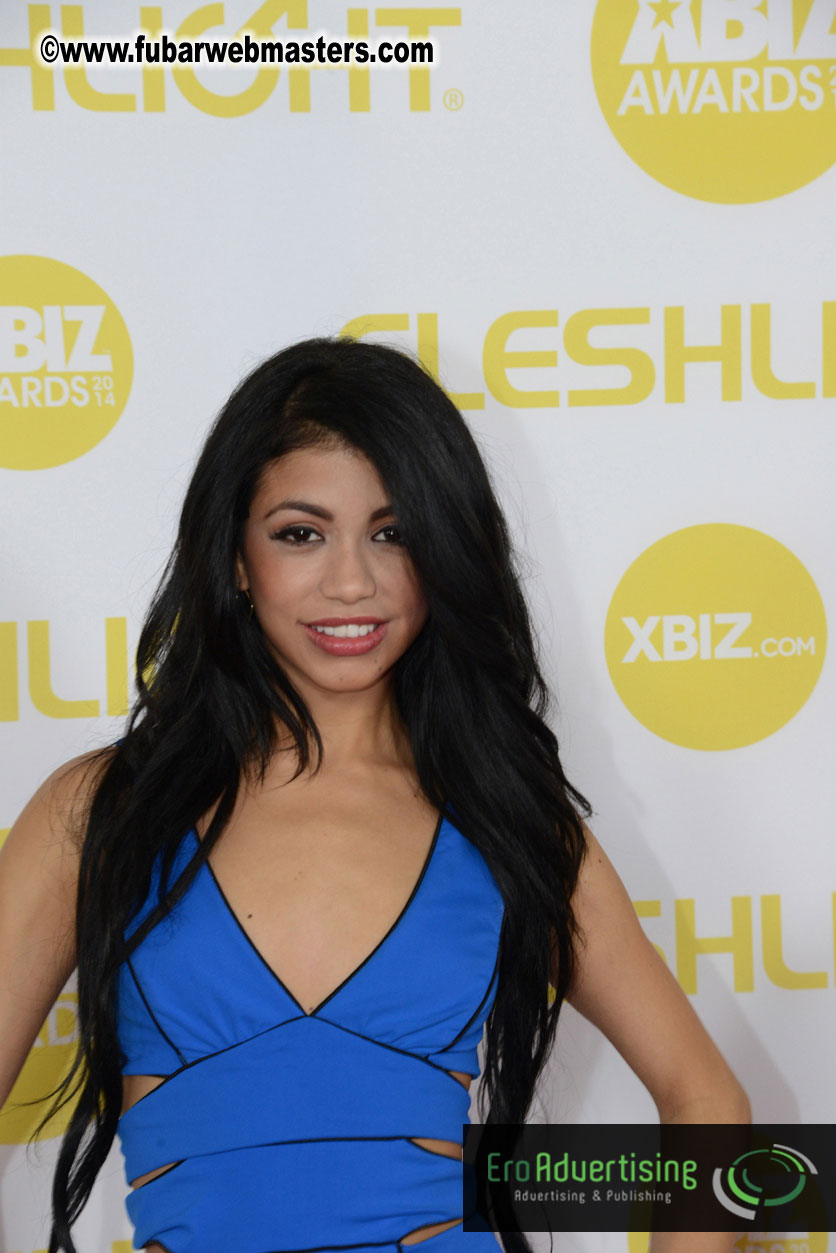 2014 XBIZ Awards